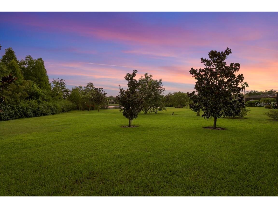 1213 Merry Water Drive Lutz FL 33548 TB8417071 image47