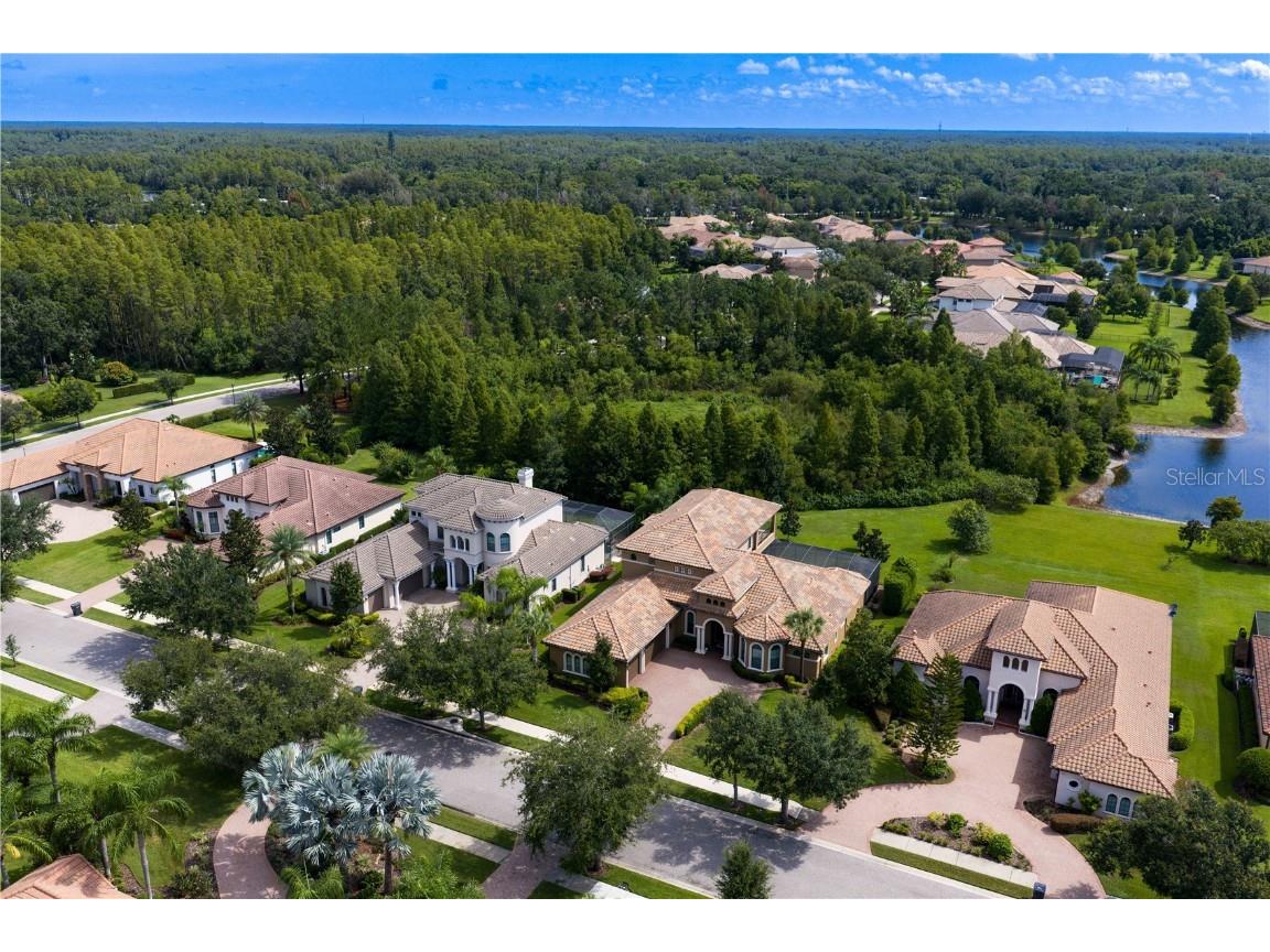 1213 Merry Water Drive Lutz FL 33548 TB8417071 image54