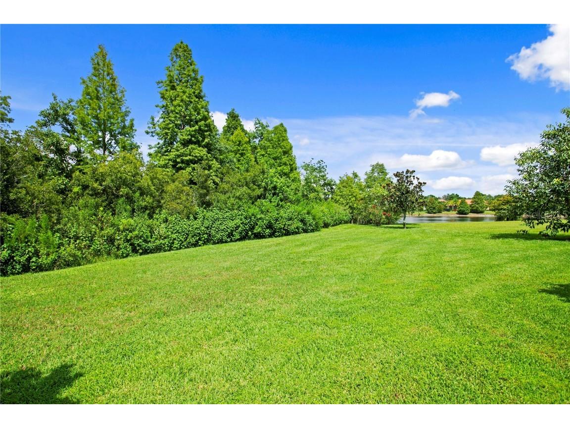 1213 Merry Water Drive Lutz FL 33548 TB8417071 image70