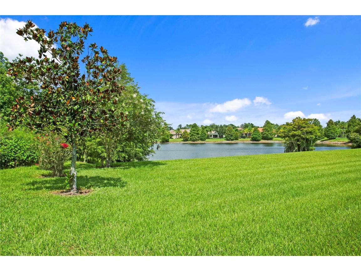 1213 Merry Water Drive Lutz FL 33548 TB8417071 image71