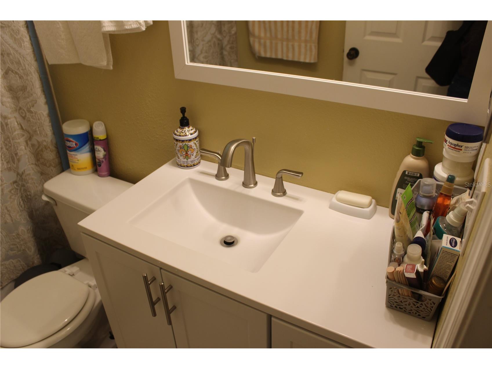 1213 Sweet Gum Drive Brandon FL 33511 TB8417032 image22