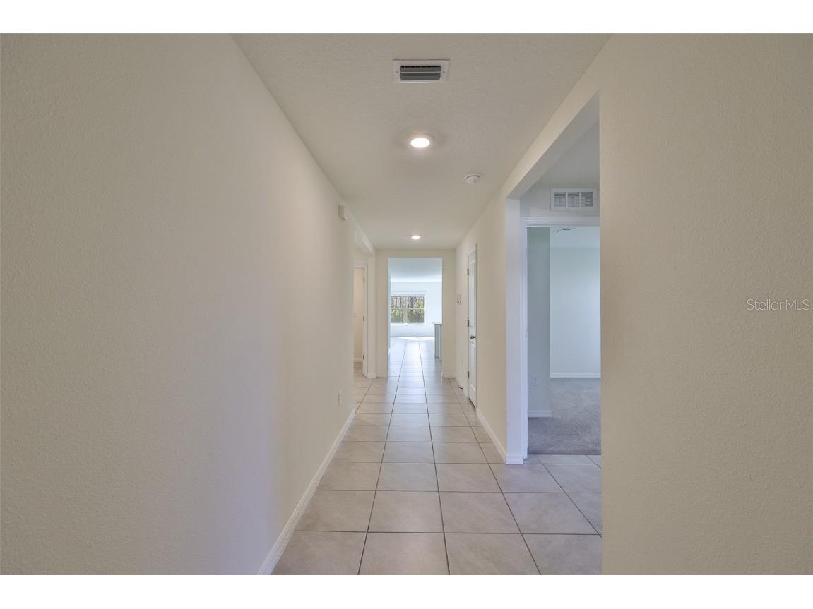 1213 Tahitian Sunrise Drive Plant City FL 33565 TB8431790 image20