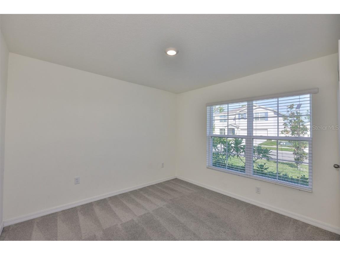 1213 Tahitian Sunrise Drive Plant City FL 33565 TB8431790 image24