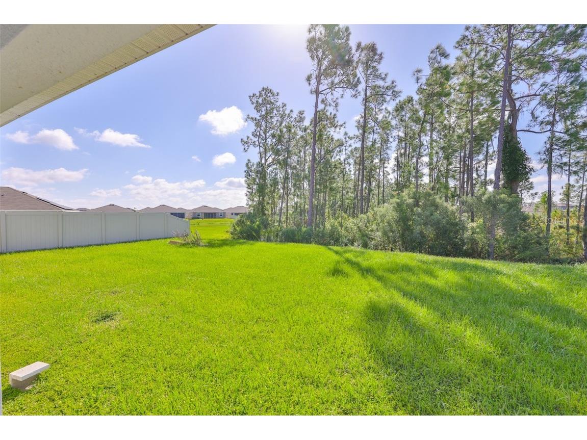 1213 Tahitian Sunrise Drive Plant City FL 33565 TB8431790 image39