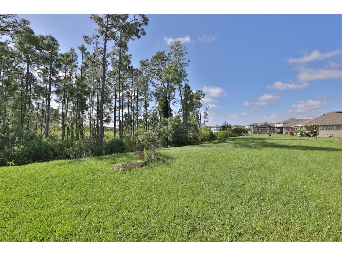 1213 Tahitian Sunrise Drive Plant City FL 33565 TB8431790 image40