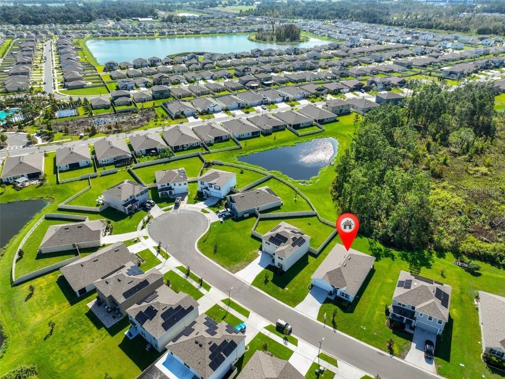 1213 Tahitian Sunrise Drive Plant City FL 33565 TB8431790 image42