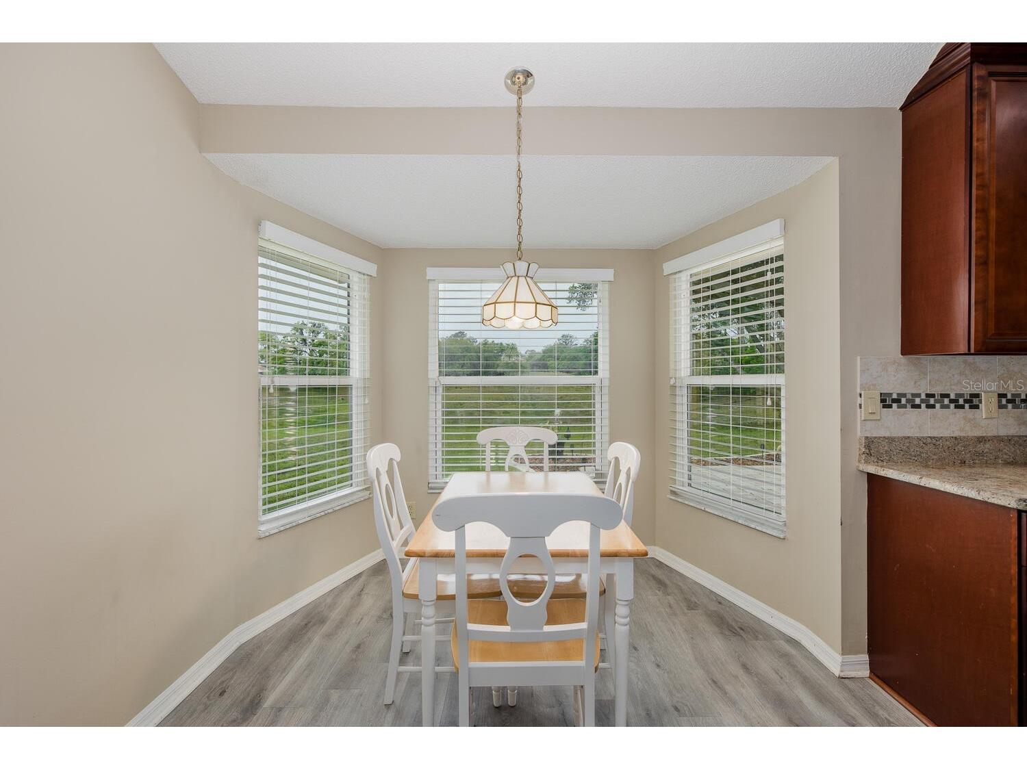 1213 Venetia Drive Spring Hill FL 34608 W7884752 image26