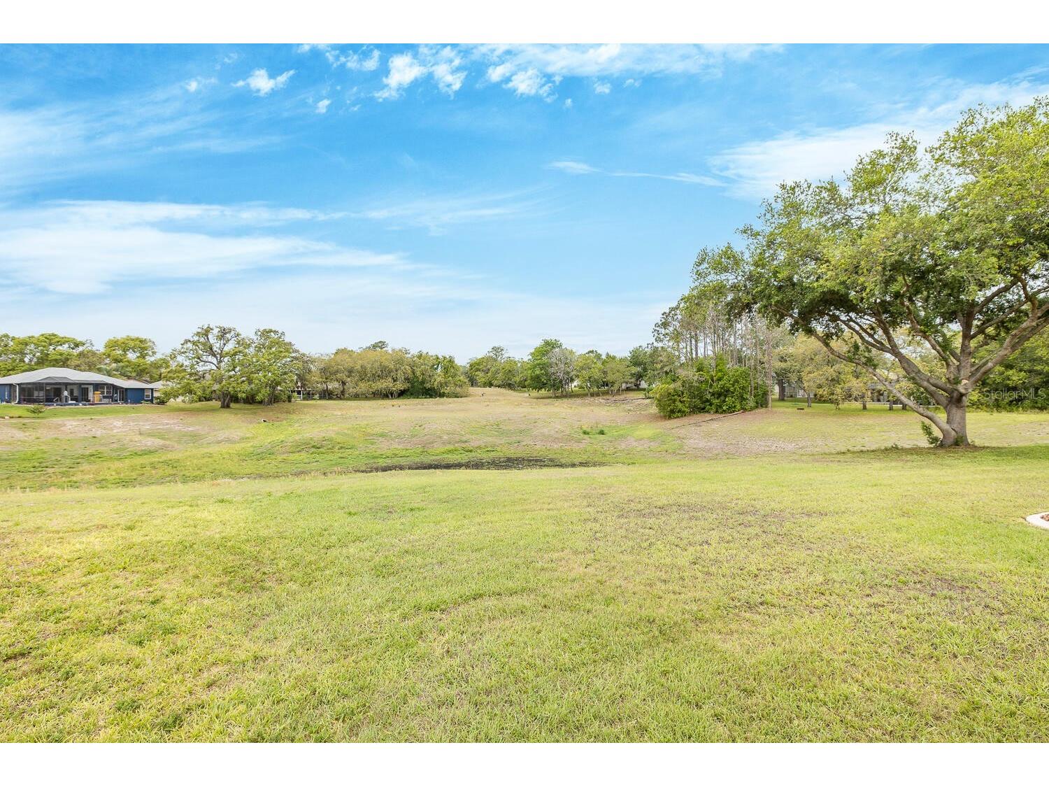 1213 Venetia Drive Spring Hill FL 34608 W7884752 image62