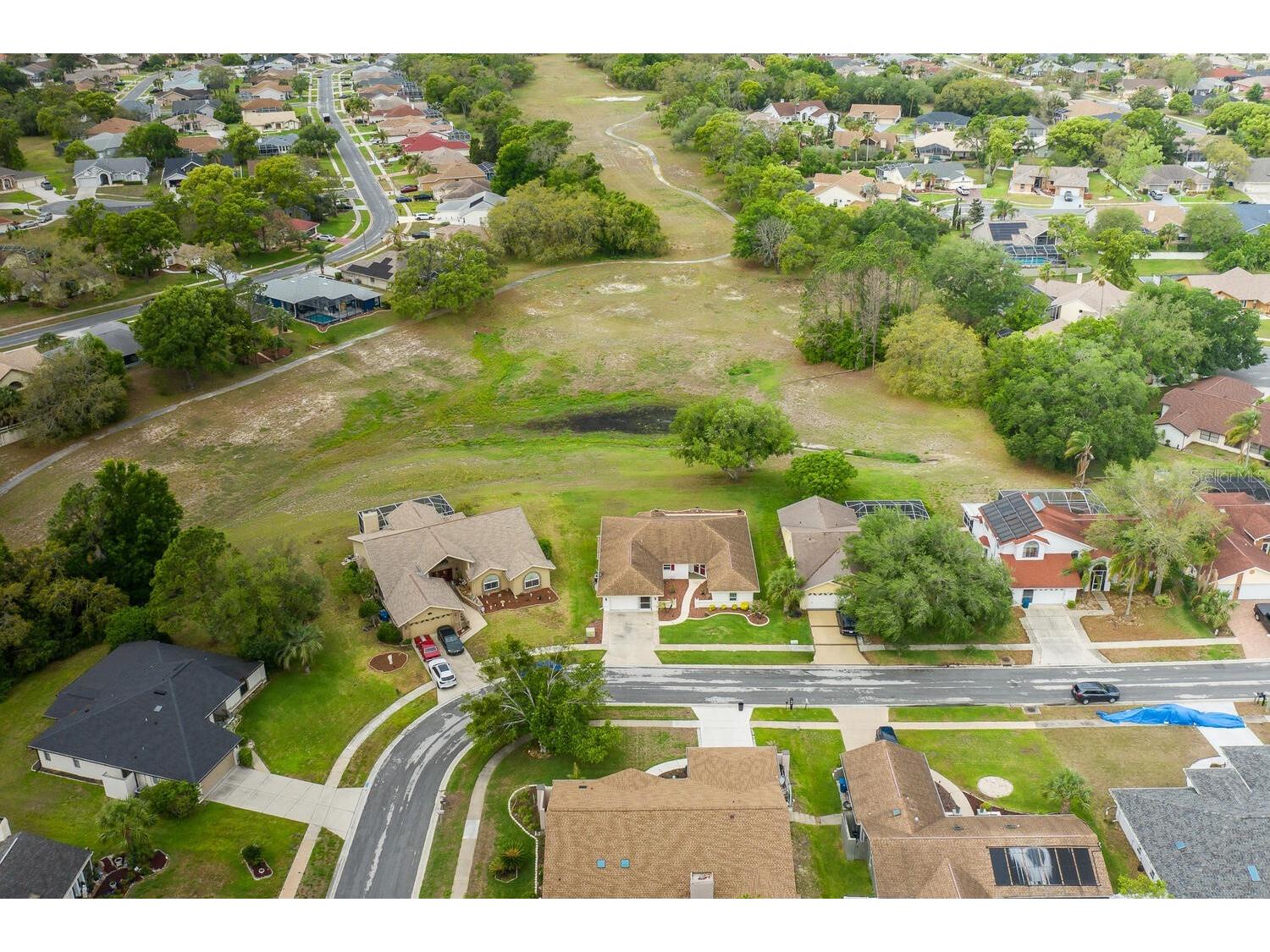 1213 Venetia Drive Spring Hill FL 34608 W7884752 image69
