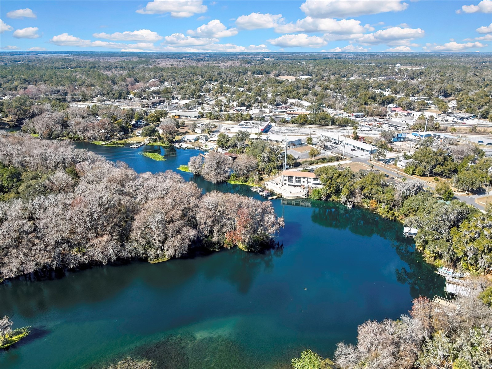 12130 Maple Street Dunnellon FL 34432 - RAINBOW RIVER TB8467501 image15