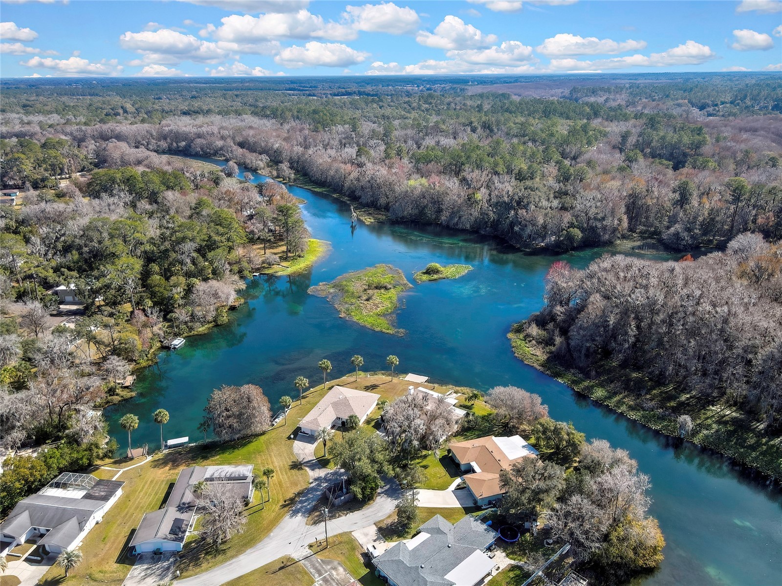 12130 Maple Street Dunnellon FL 34432 - RAINBOW RIVER TB8467501 image16