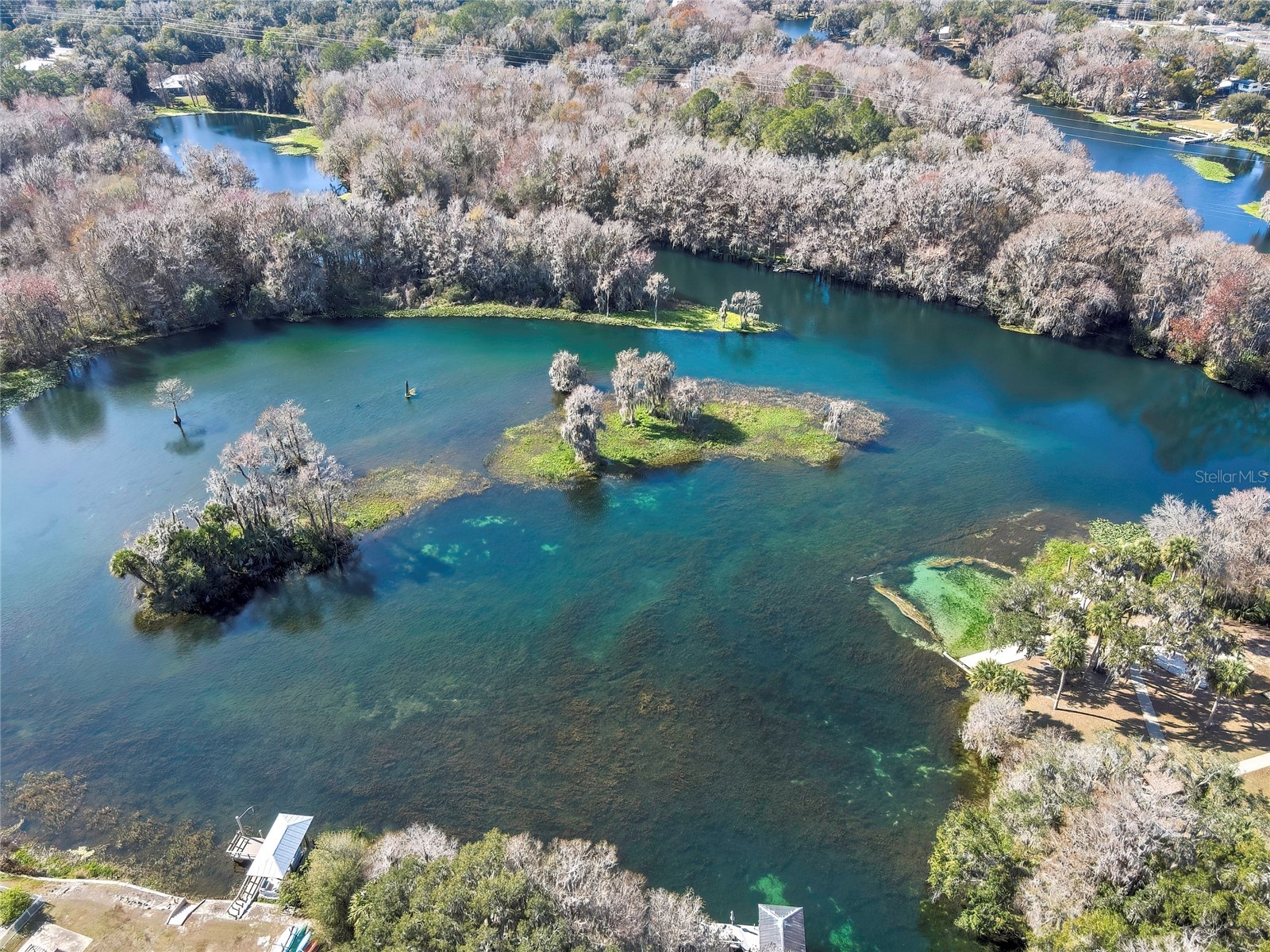 12130 Maple Street Dunnellon FL 34432 - RAINBOW RIVER TB8467501 image54