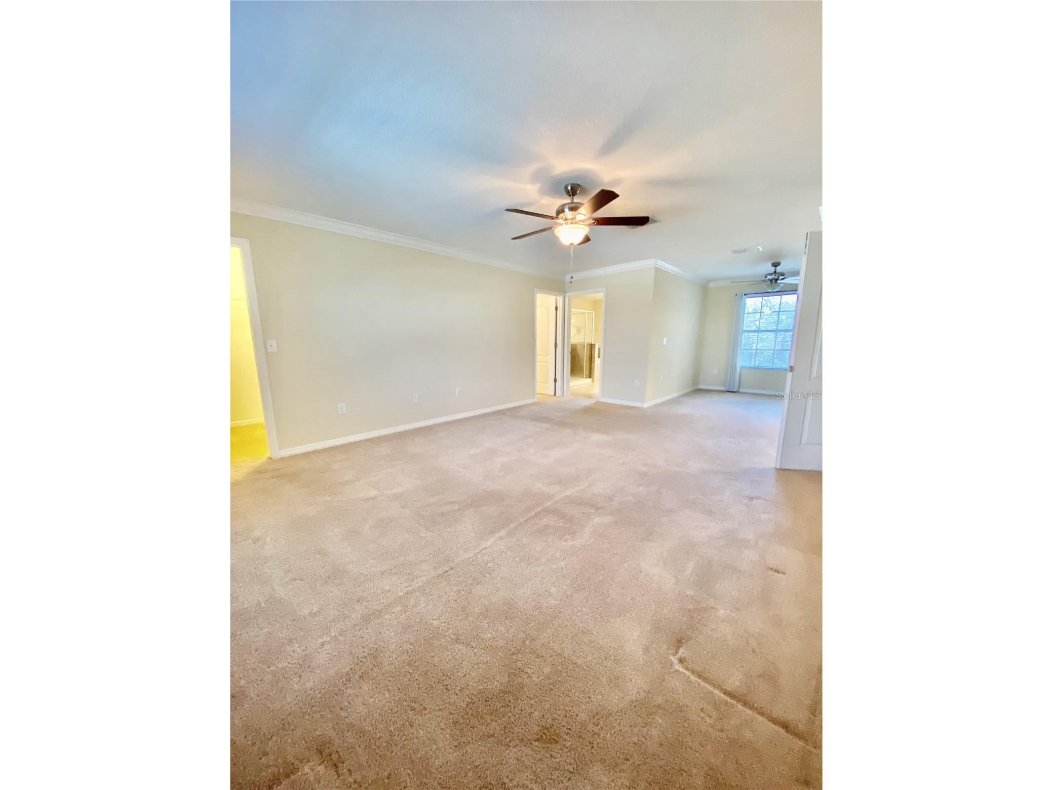 12130 Streambed Drive Riverview FL 33579 TB8485594 image34