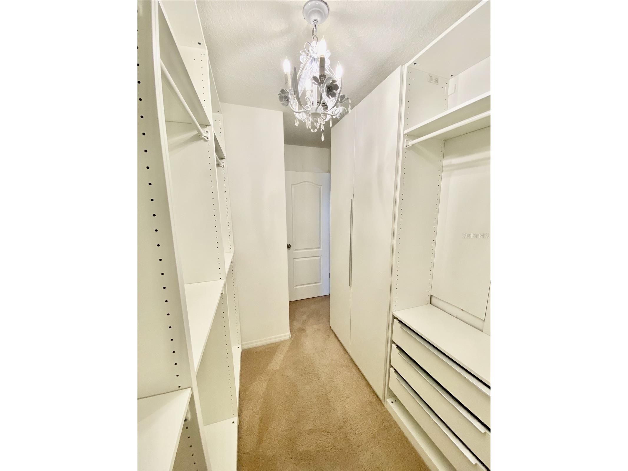 12130 Streambed Drive Riverview FL 33579 TB8485594 image35