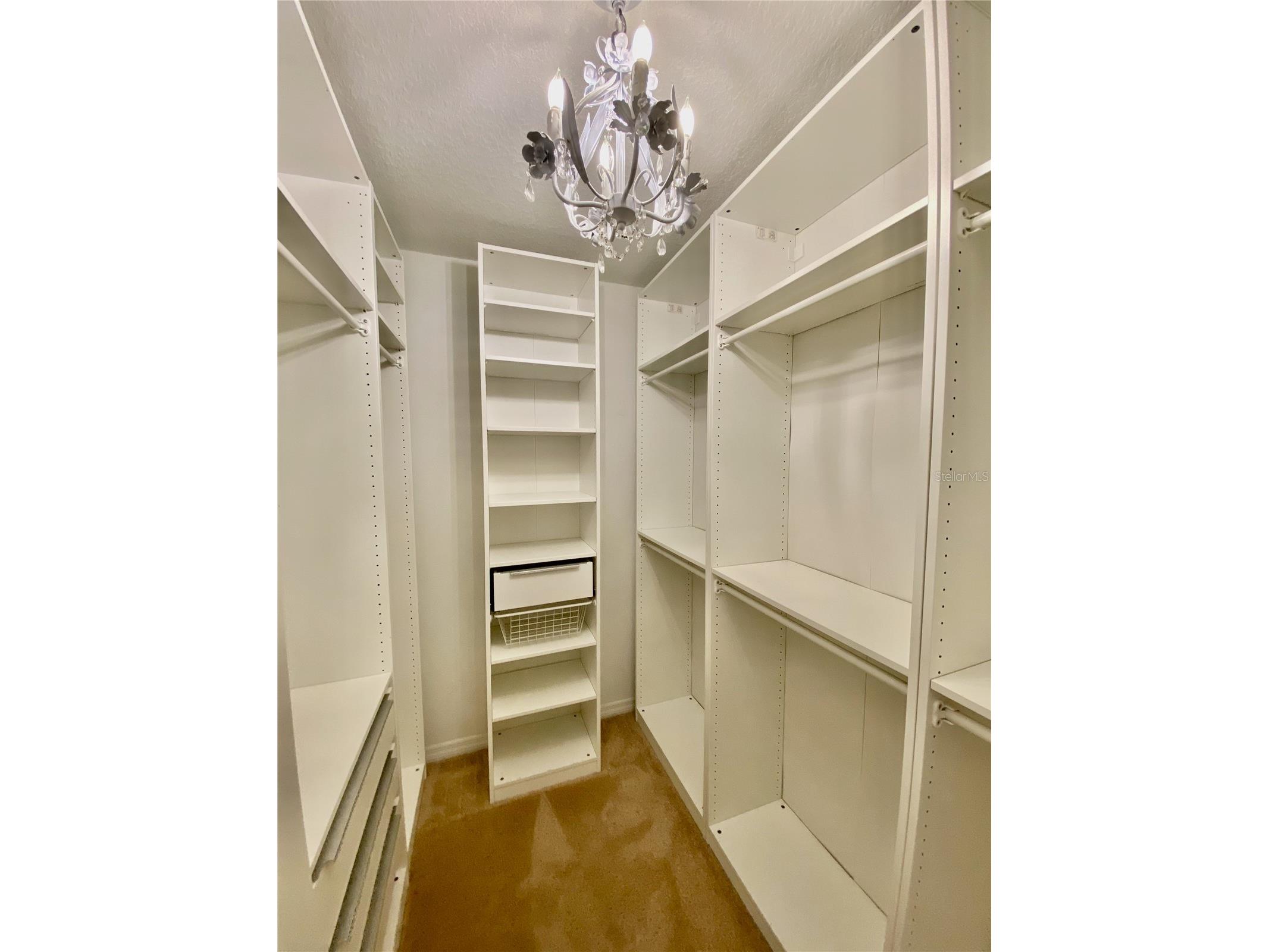 12130 Streambed Drive Riverview FL 33579 TB8485594 image36