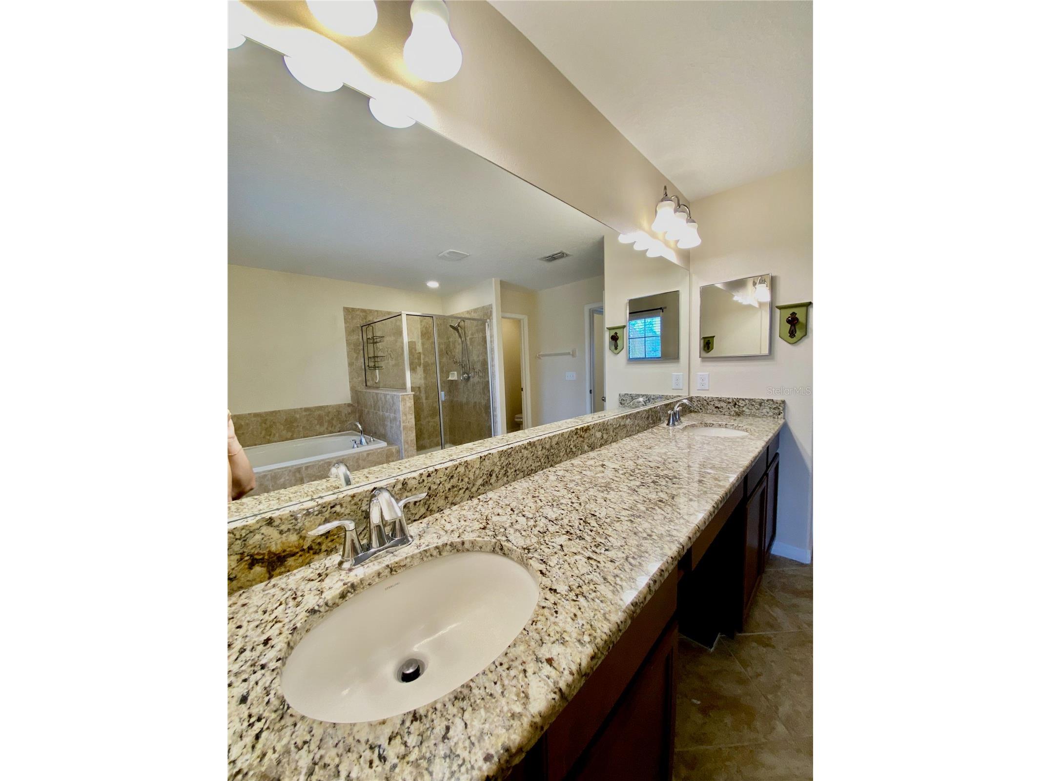 12130 Streambed Drive Riverview FL 33579 TB8485594 image42