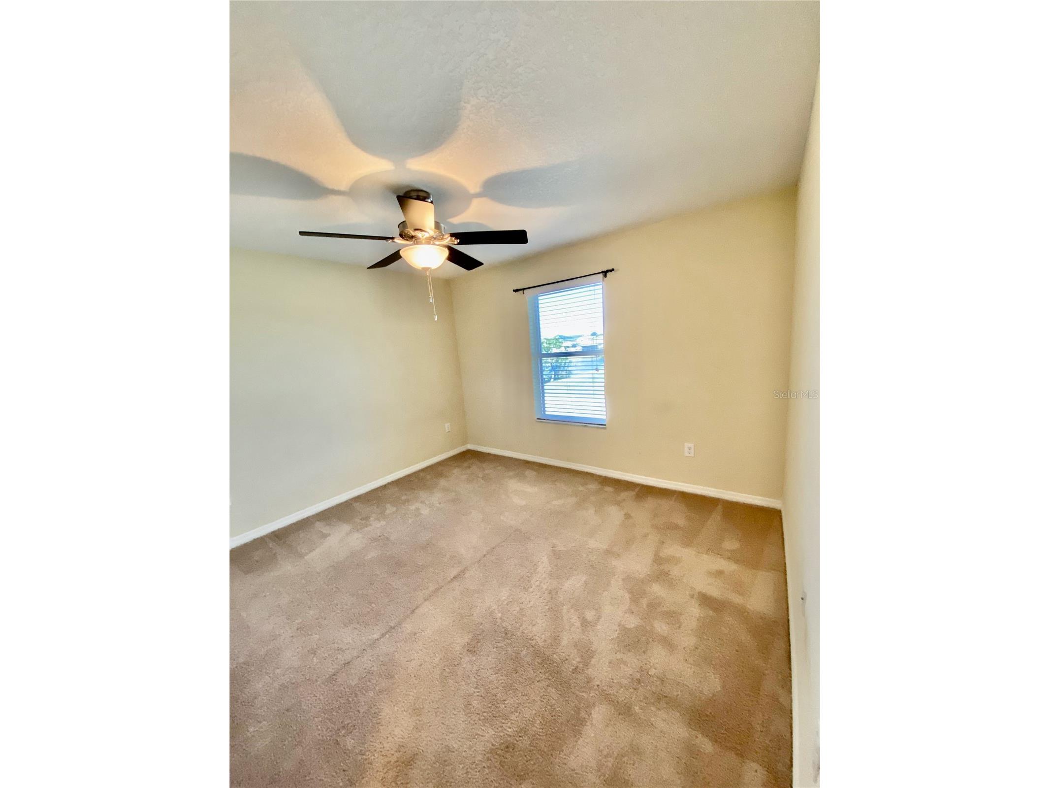12130 Streambed Drive Riverview FL 33579 TB8485594 image45