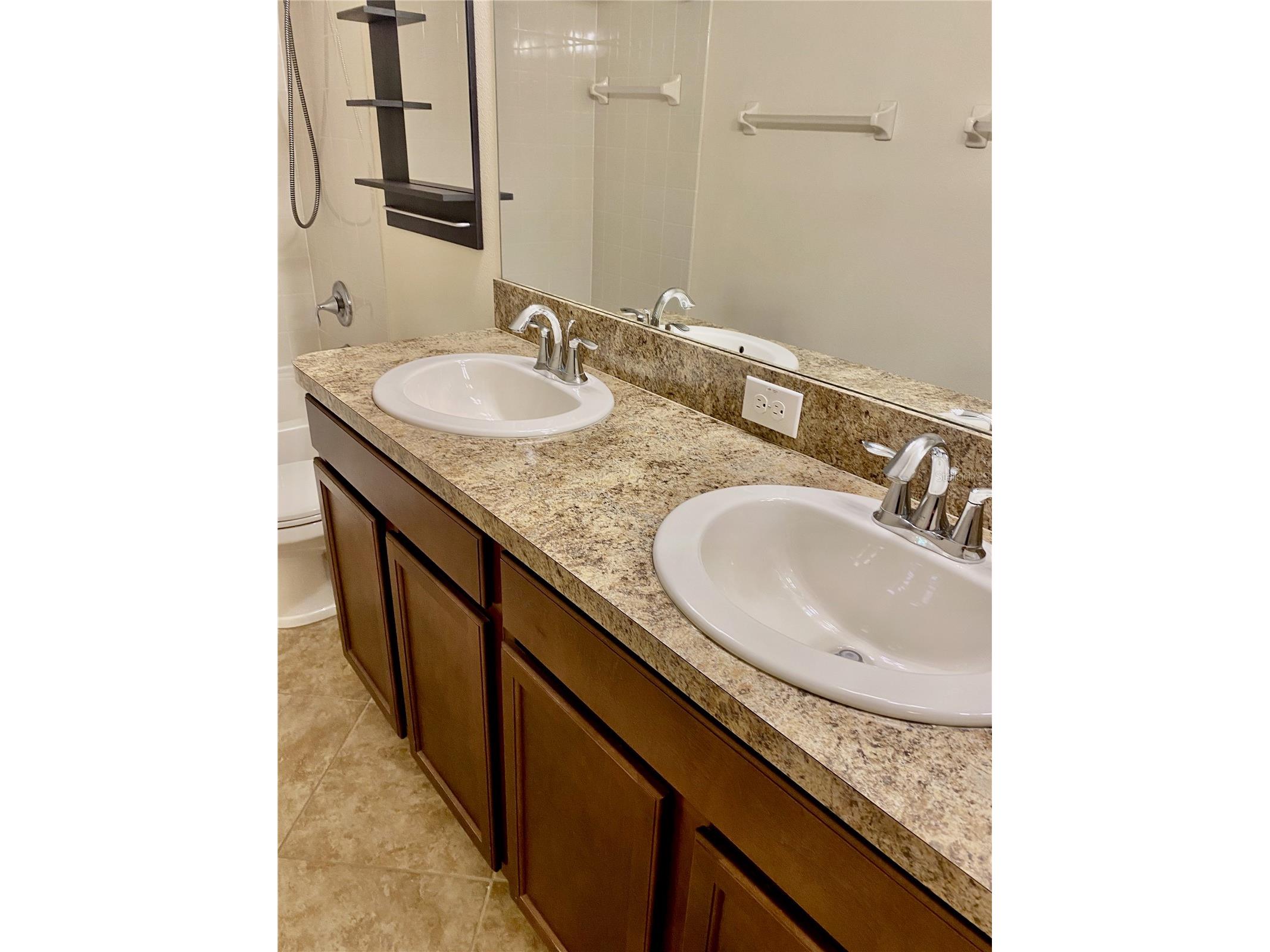 12130 Streambed Drive Riverview FL 33579 TB8485594 image50