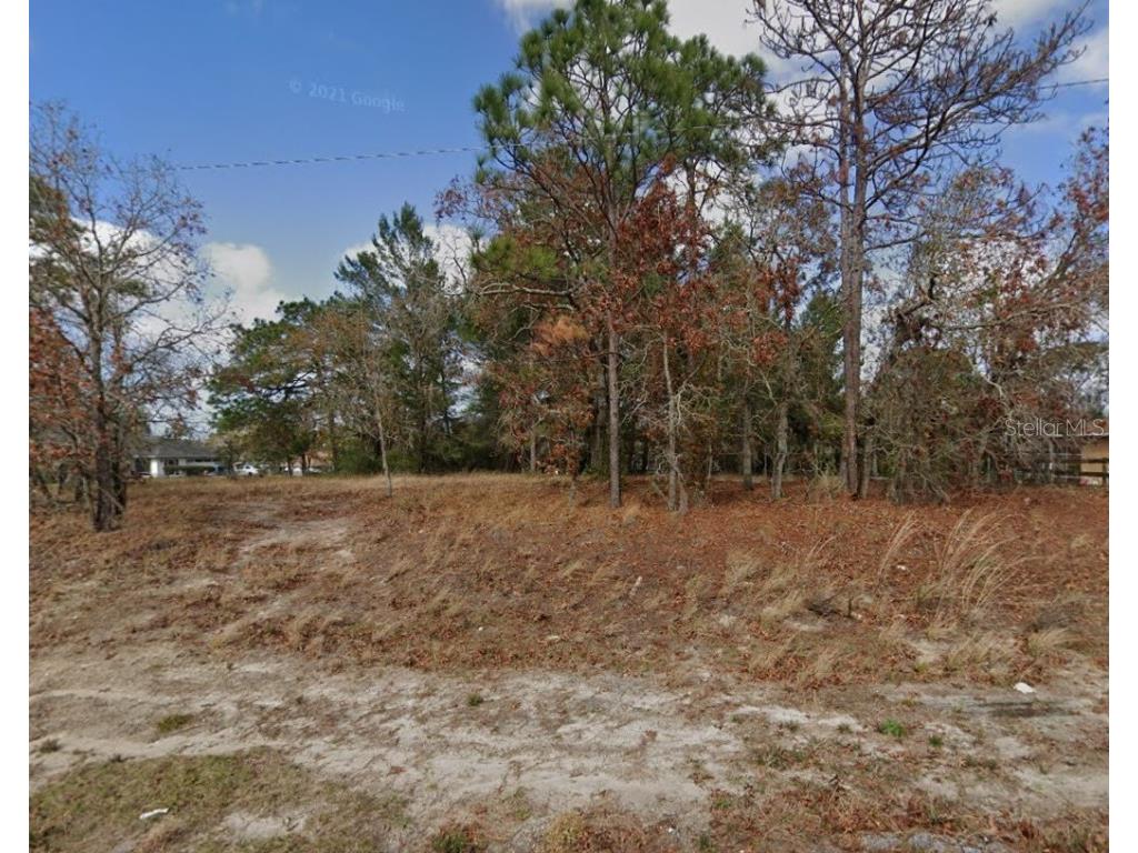 12131 Genter Drive Spring Hill FL 34609 W7864519 image1