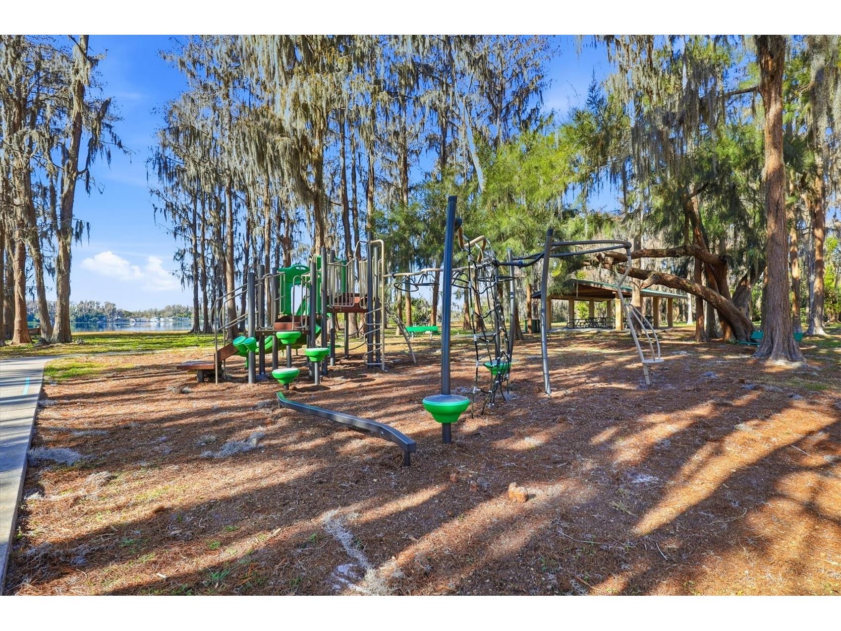 12131 Lacey Drive New Port Richey FL 34654 - Moon Lake W7882601 image41