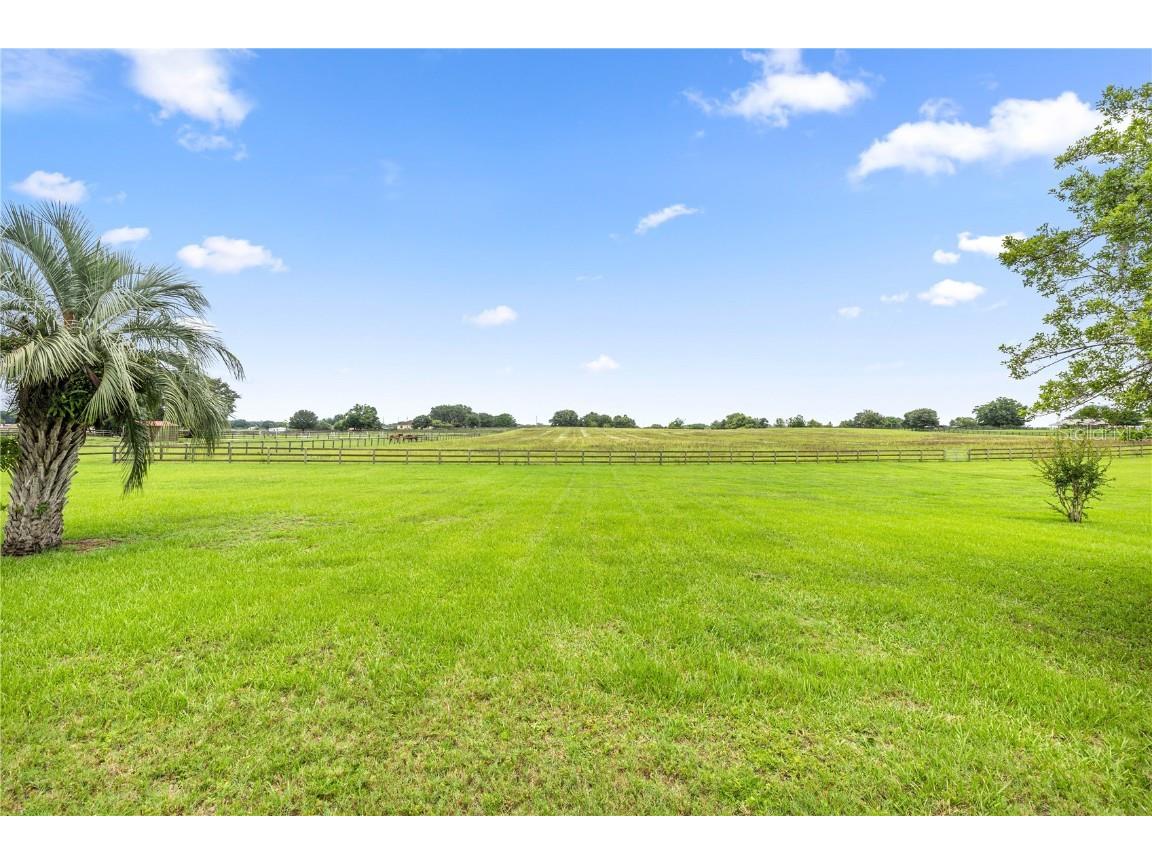 12131 NE 10th Terrace Ocala FL 34479 OM711006 image45