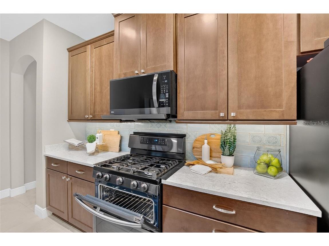 12132 Creek Preserve Drive Riverview FL 33579 TB8421277 image13