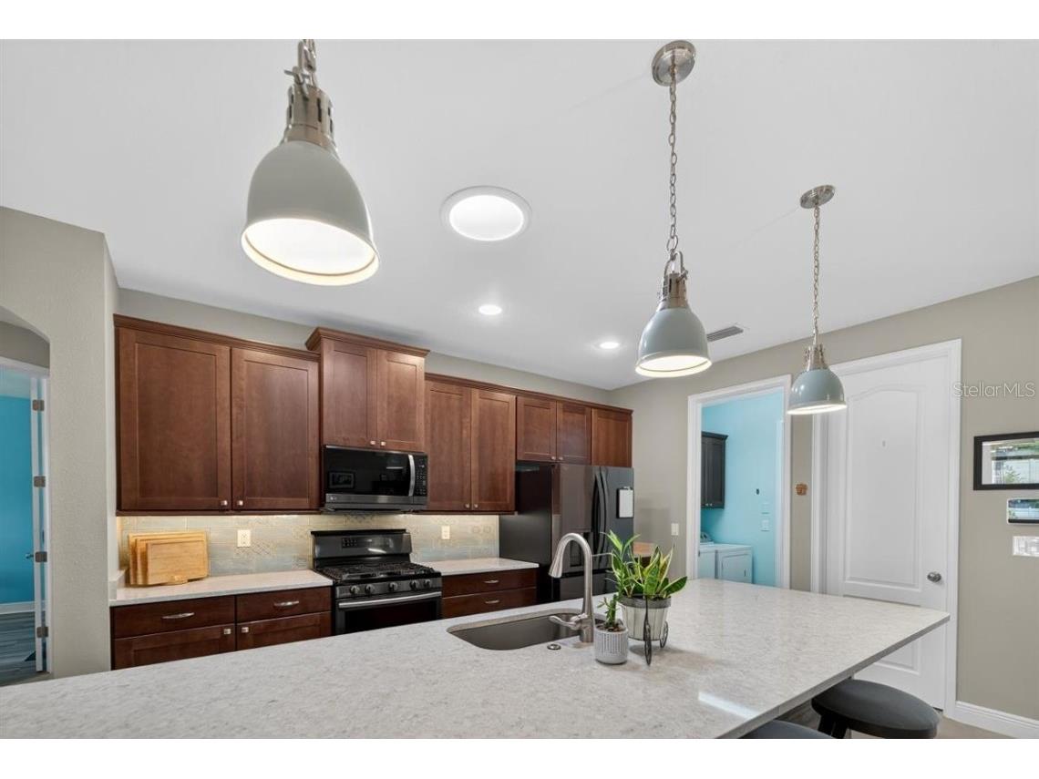 12132 Creek Preserve Drive Riverview FL 33579 TB8421277 image8