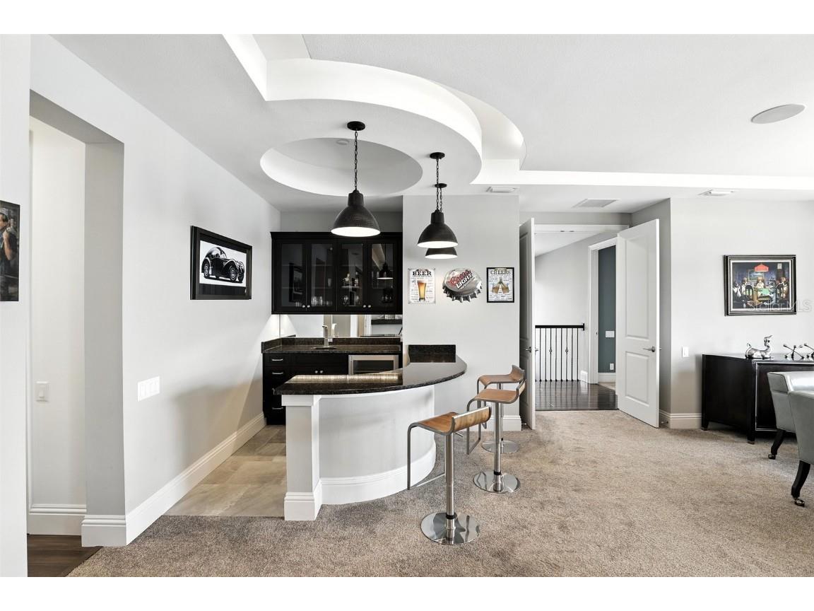 12132 Montalcino Circle Windermere FL 34786 - LAKE BURDEN O6319854 image45