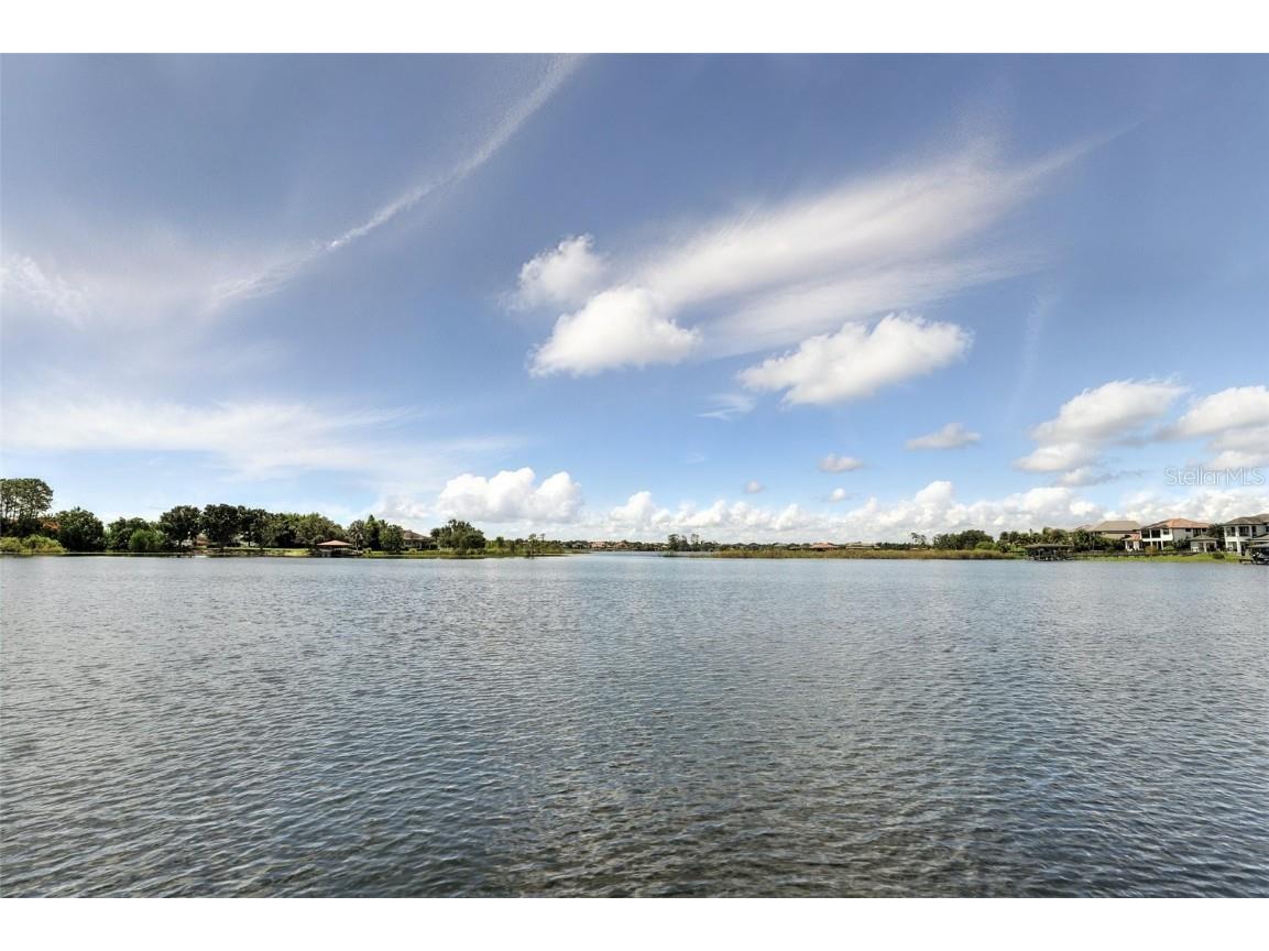 12132 Montalcino Circle Windermere FL 34786 - LAKE BURDEN O6319854 image84