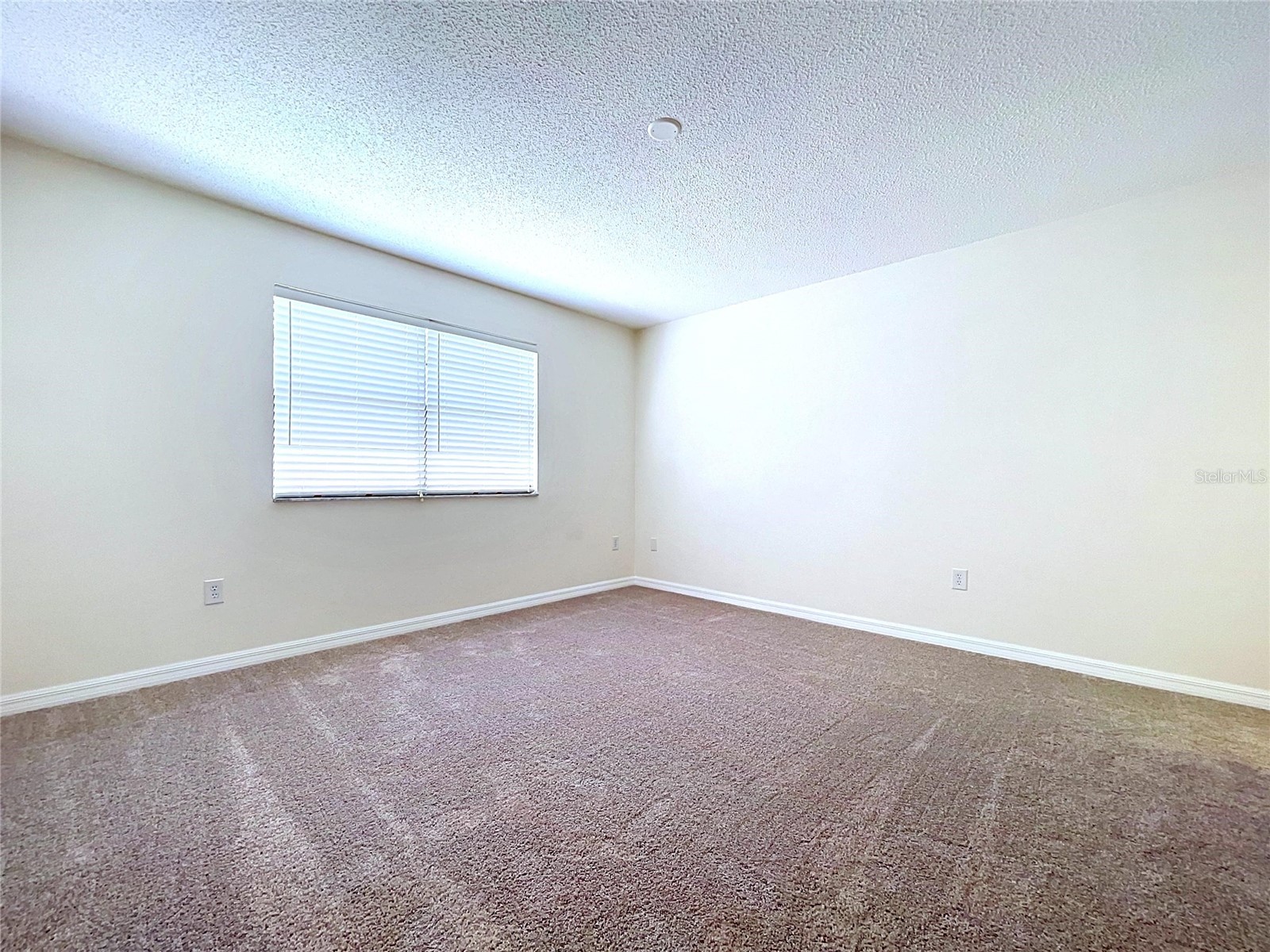 12132 Shadow Ridge Boulevard Hudson FL 34669 W7887832 image30