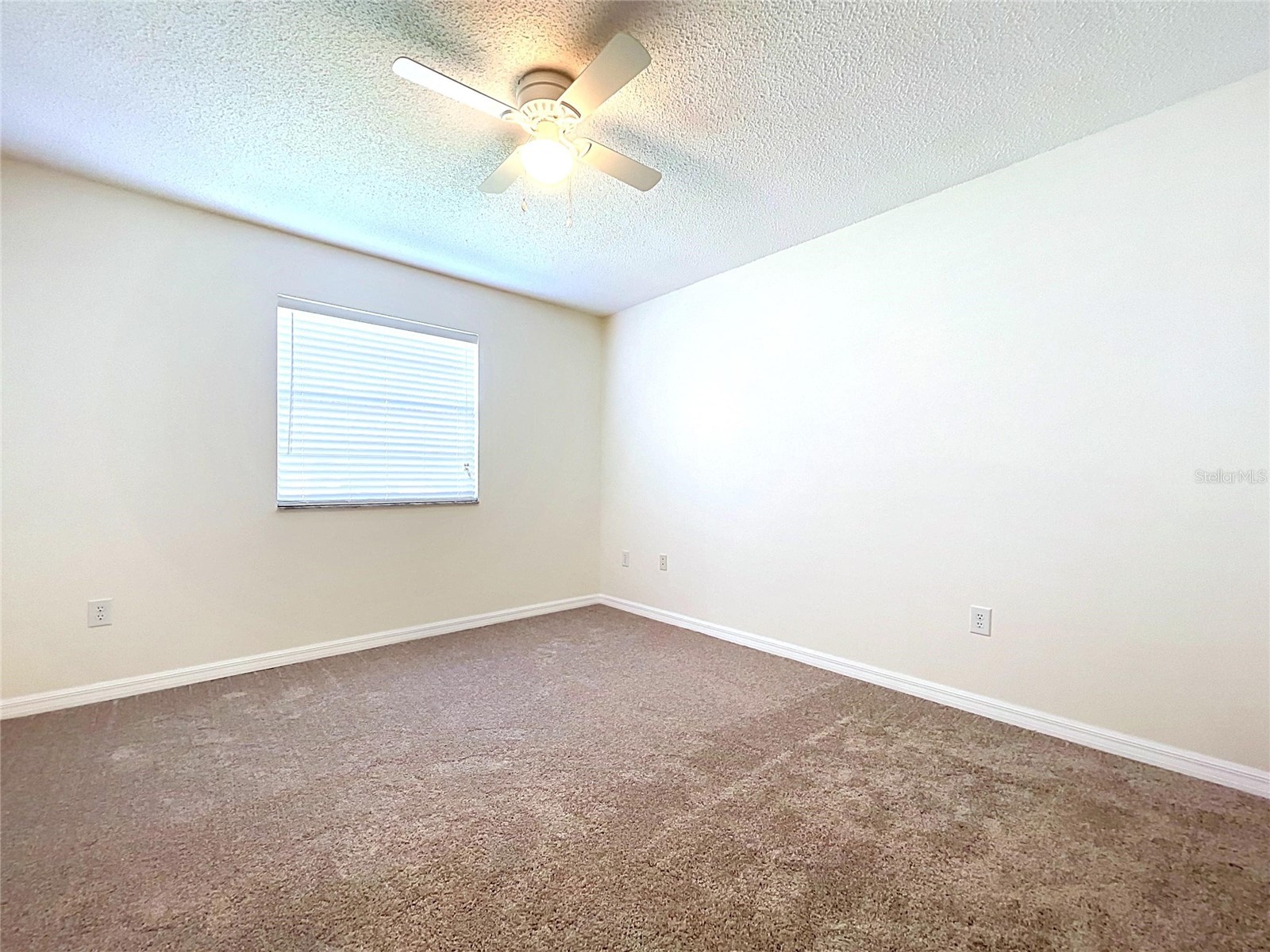 12132 Shadow Ridge Boulevard Hudson FL 34669 W7887832 image33