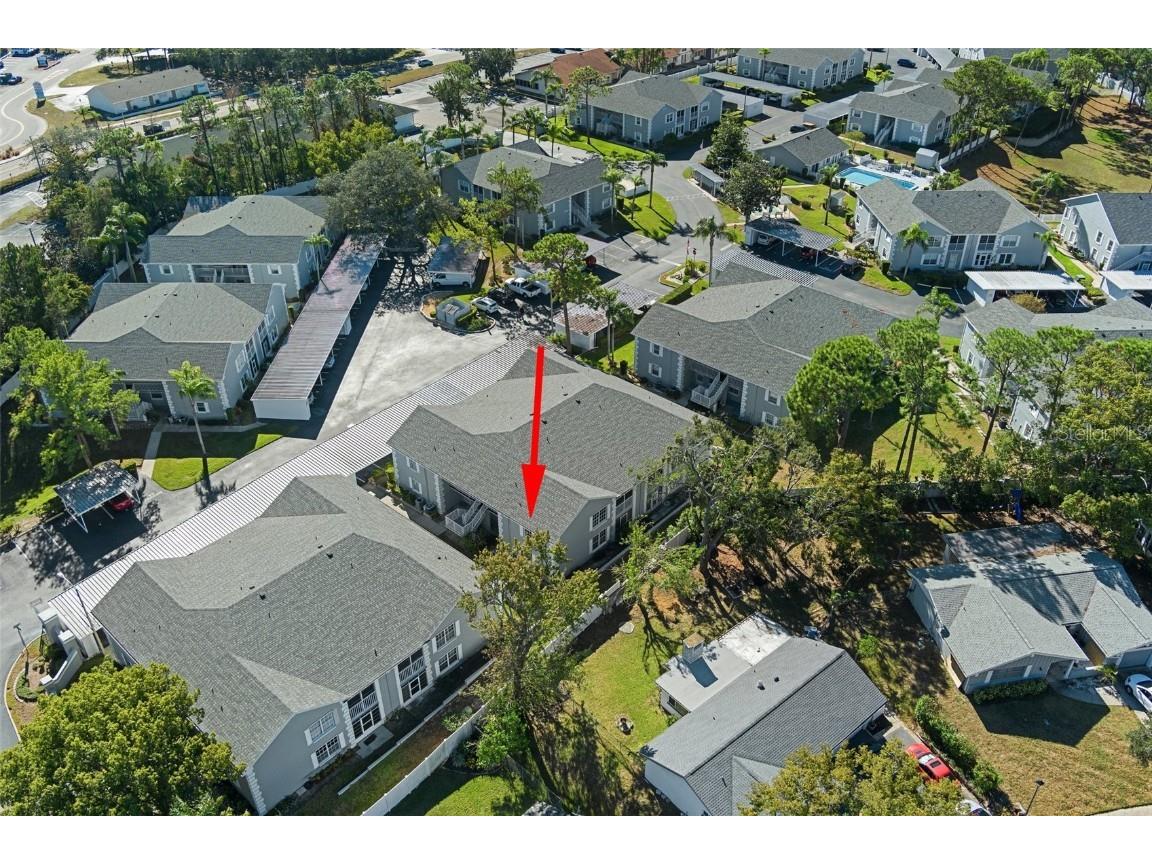 12133 Spartan Way #203 Hudson FL 34667 W7870414 image3