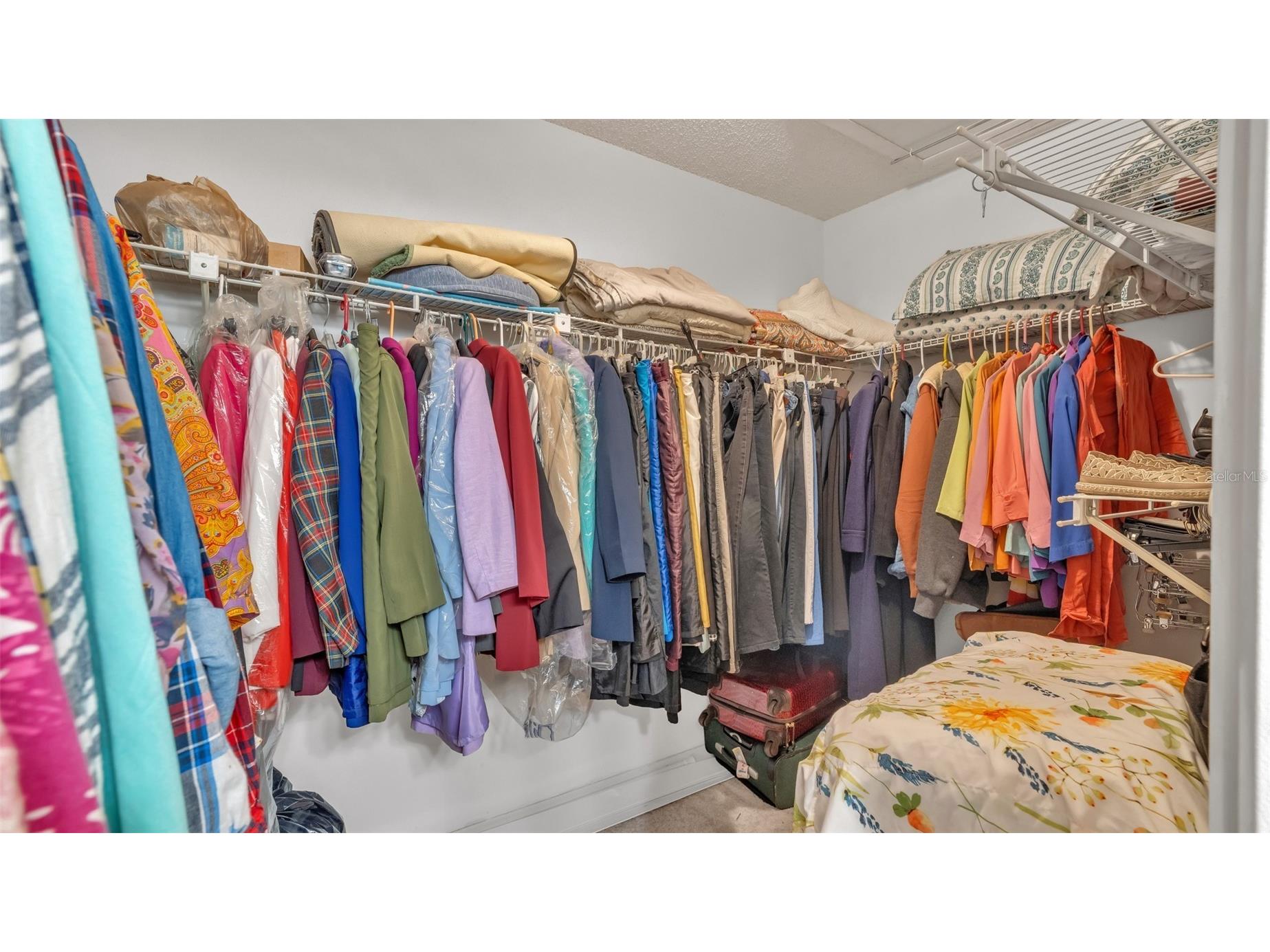 12133 Spartan Way #204 Hudson FL 34667 TB8492711 image13