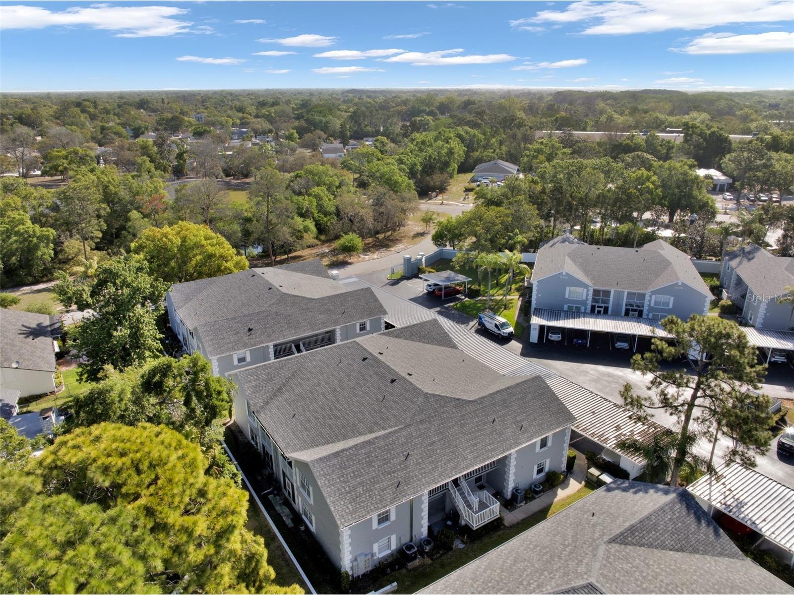 12133 Spartan Way #204 Hudson FL 34667 TB8492711 image25