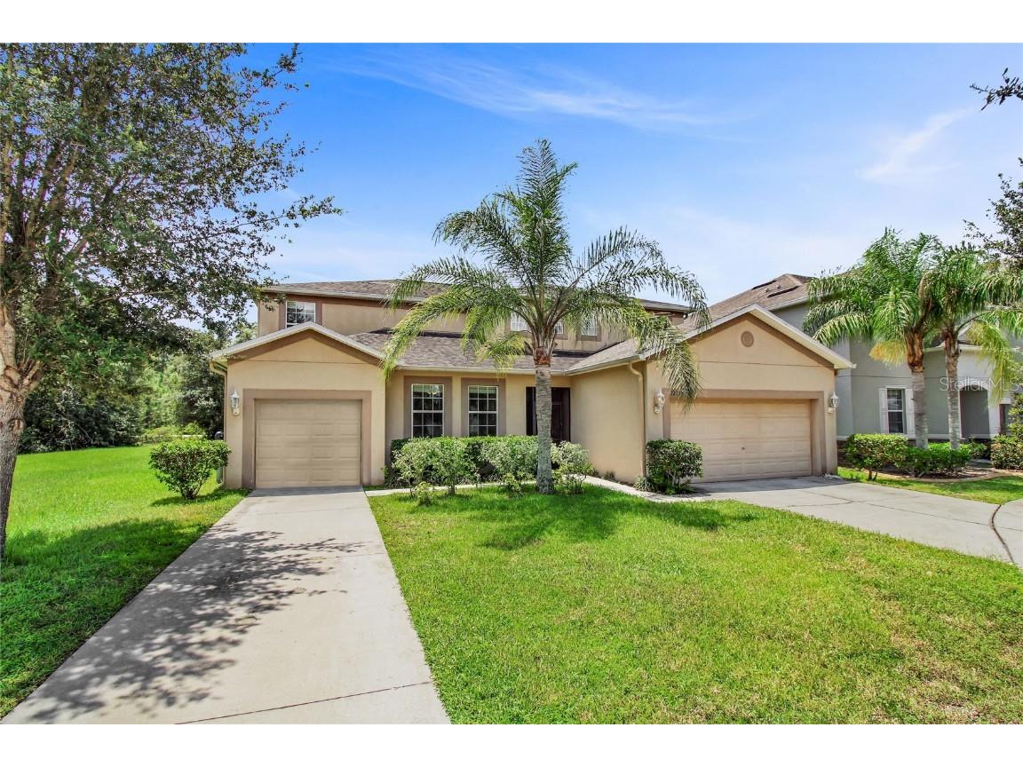 12133 Streambed Drive Riverview FL 33579 T3464365 image1