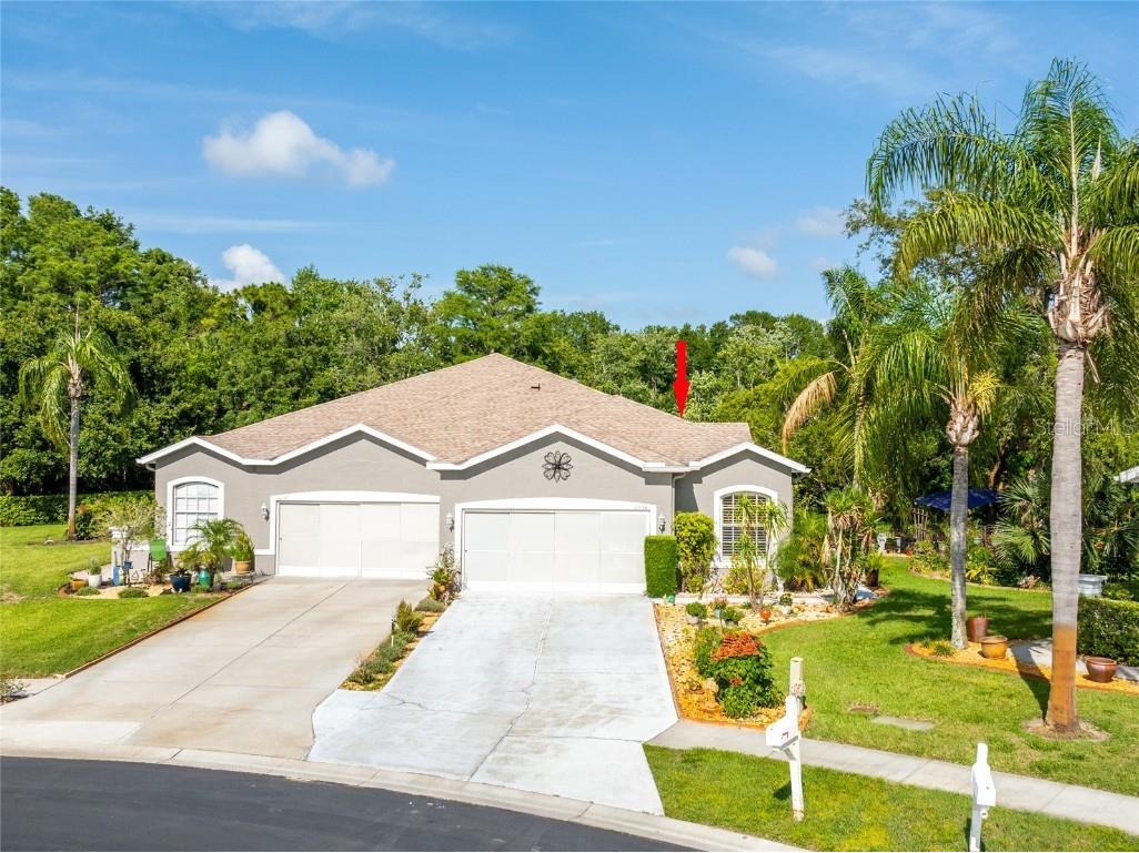 12134 Tournament View Avenue New Port Richey FL 34654 TB8395557 image1