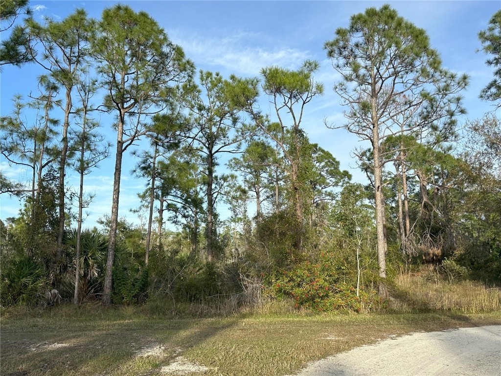 12135 Ludden Court Punta Gorda FL 33955 N6130333 image10