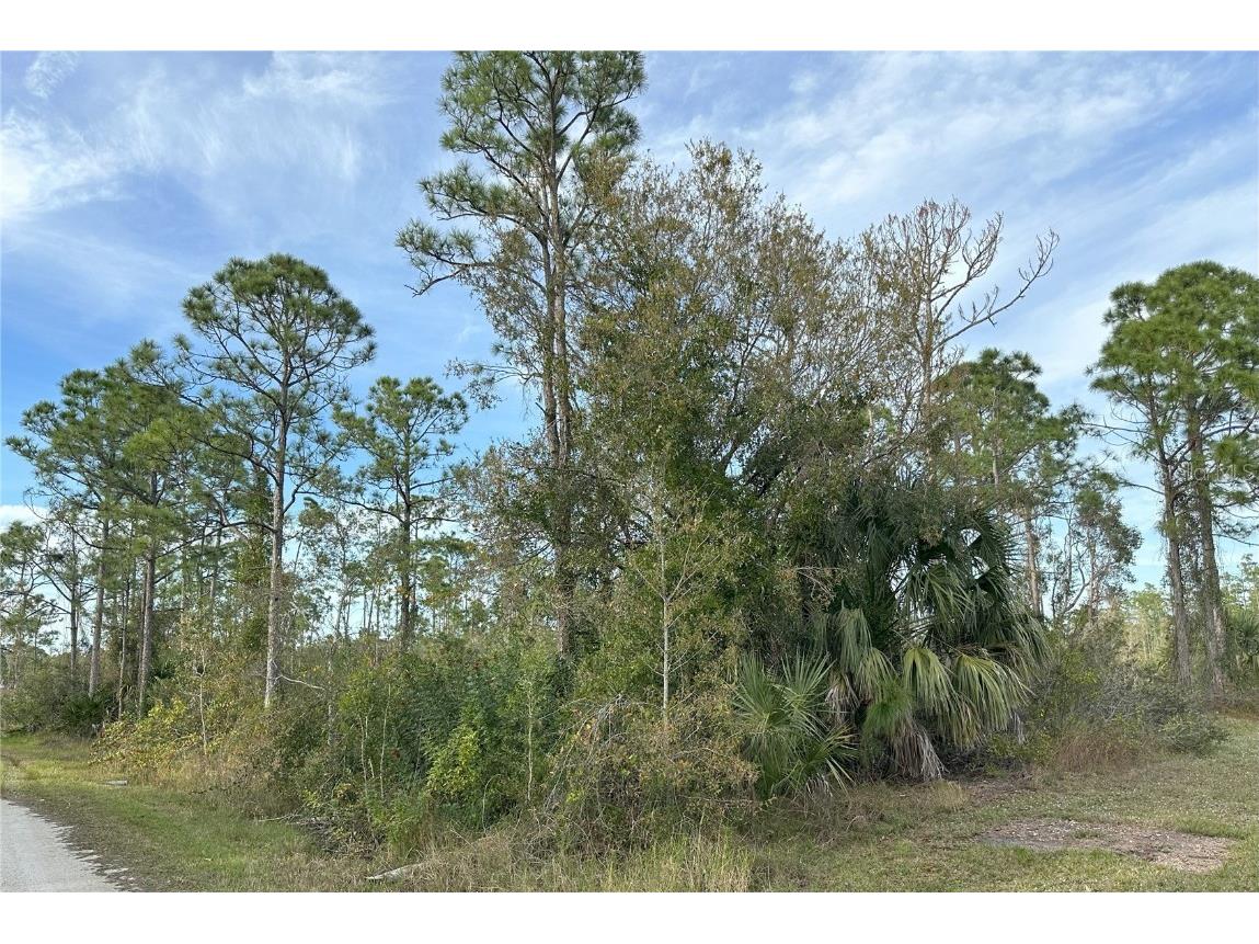 12135 Ludden Court Punta Gorda FL 33955 N6130333 image11