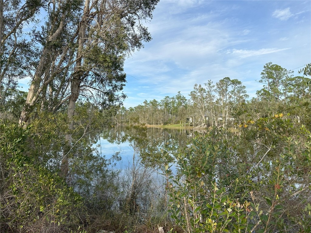 12135 Ludden Court Punta Gorda FL 33955 N6130333 image12