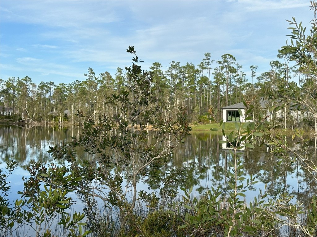 12135 Ludden Court Punta Gorda FL 33955 N6130333 image13