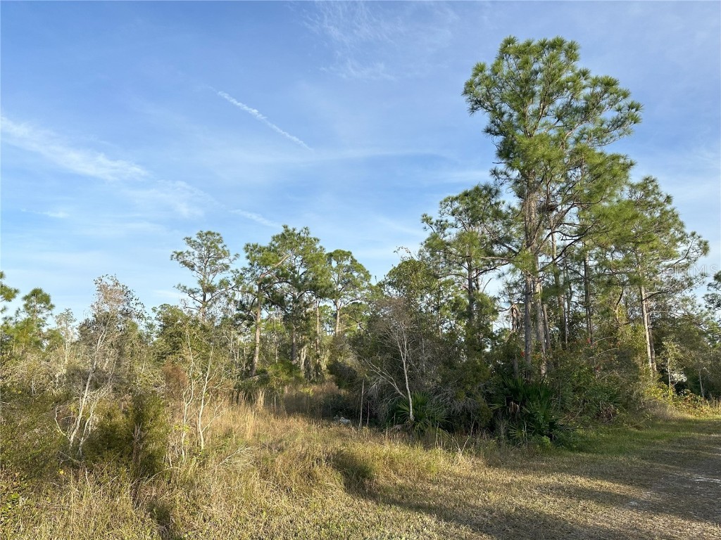 12135 Ludden Court Punta Gorda FL 33955 N6130333 image14