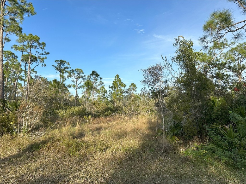 12135 Ludden Court Punta Gorda FL 33955 N6130333 image15