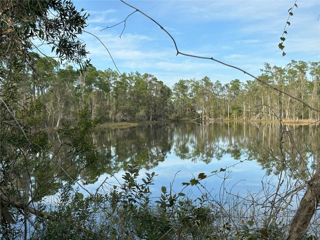 12135 Ludden Court Punta Gorda FL 33955 N6130333 image9