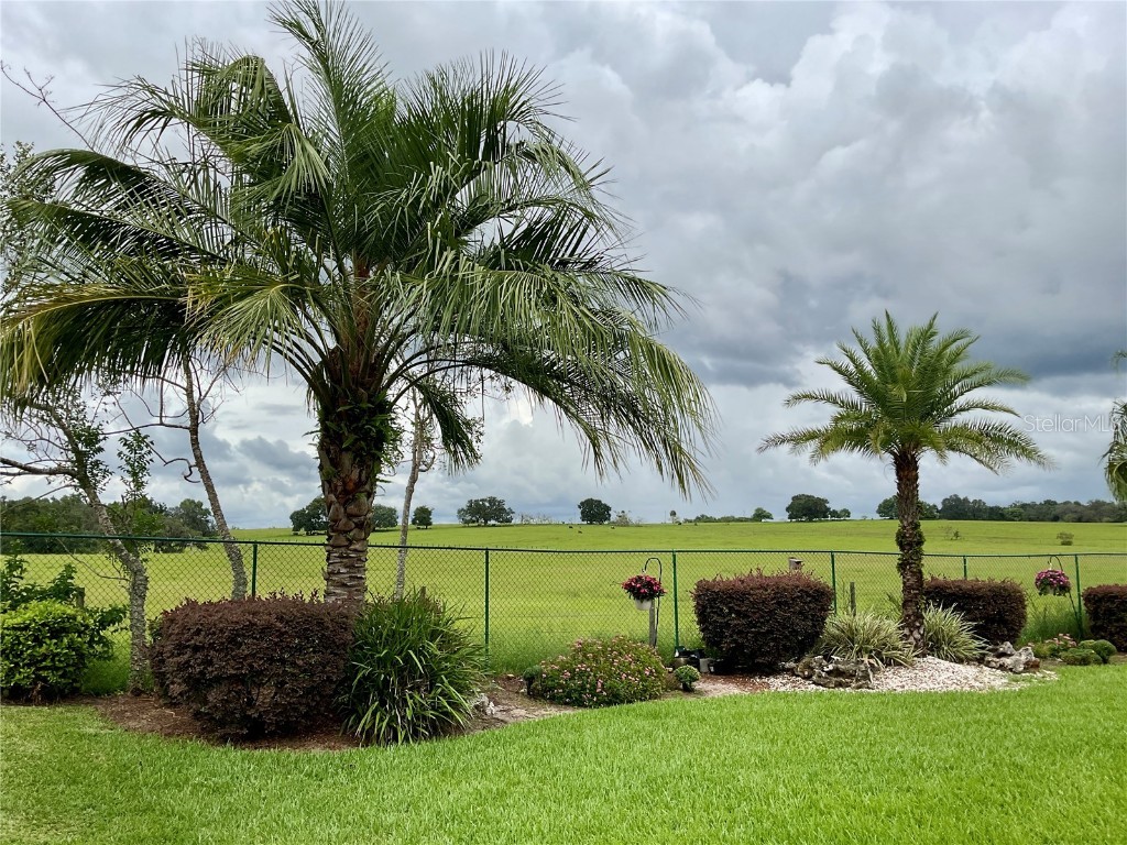 12135 SE 172nd Lane Summerfield FL 34491 G5101748 image23