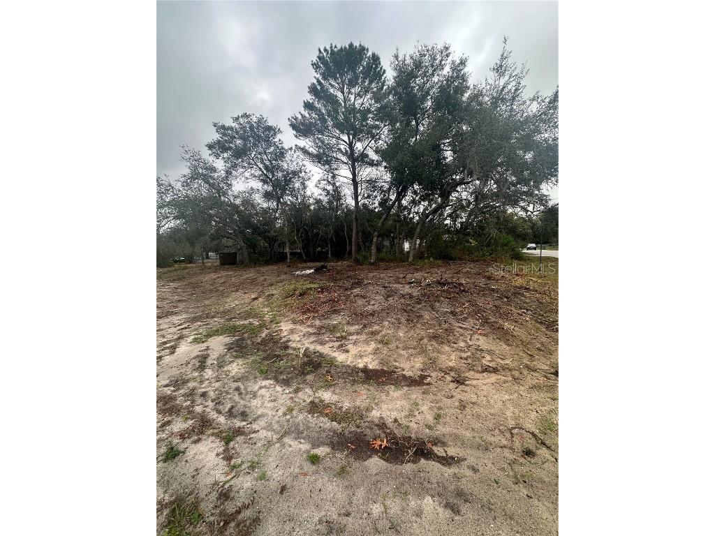 12135 Terra Ceia Avenue New Port Richey FL 34654 W7860285 image1