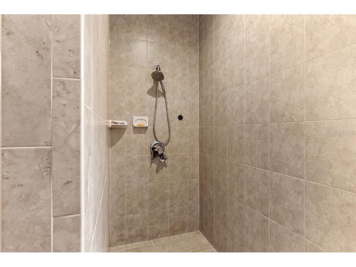 12136 Mcintosh Road Thonotosassa FL 33592 TB8418178 image19