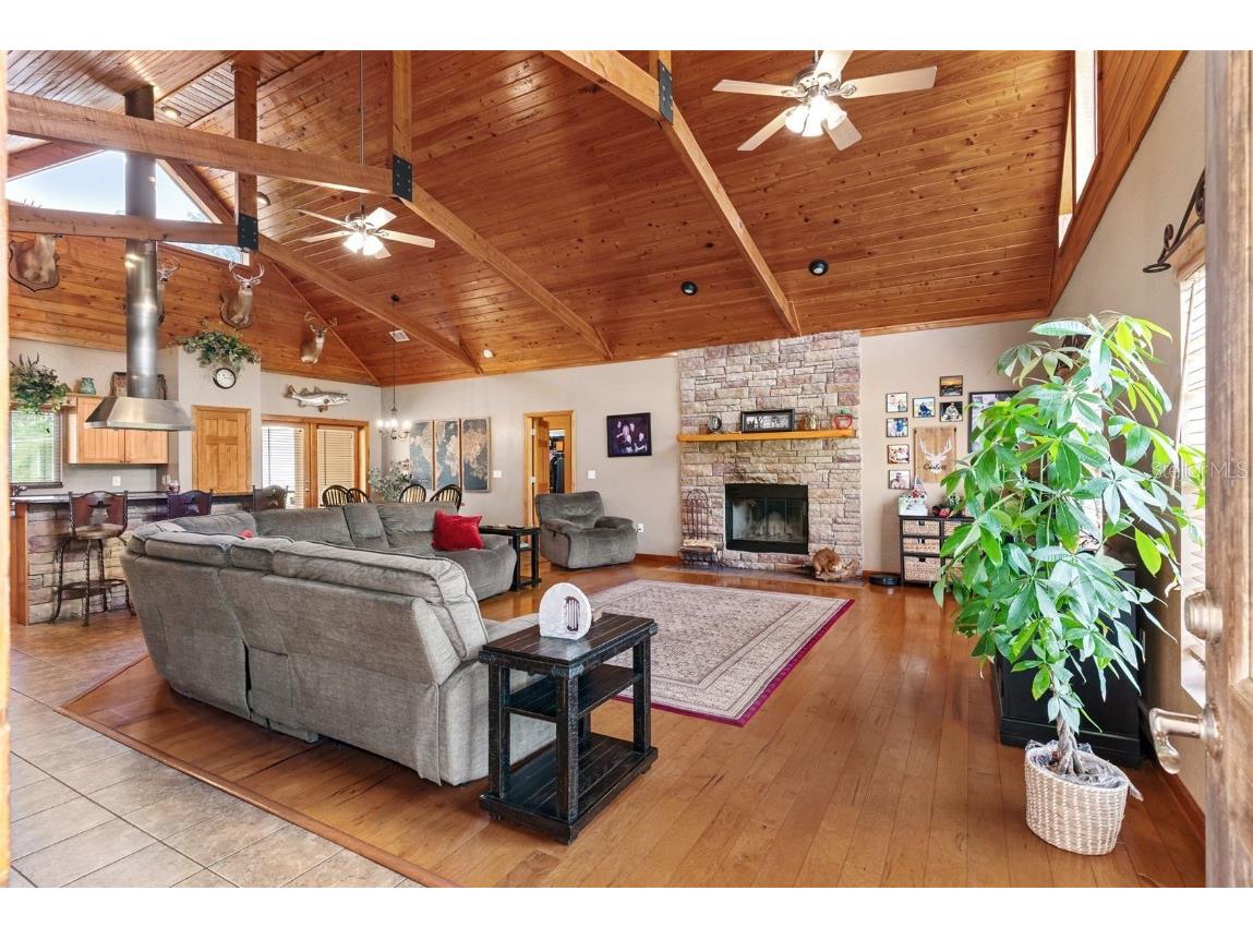 12136 Mcintosh Road Thonotosassa FL 33592 TB8418178 image7