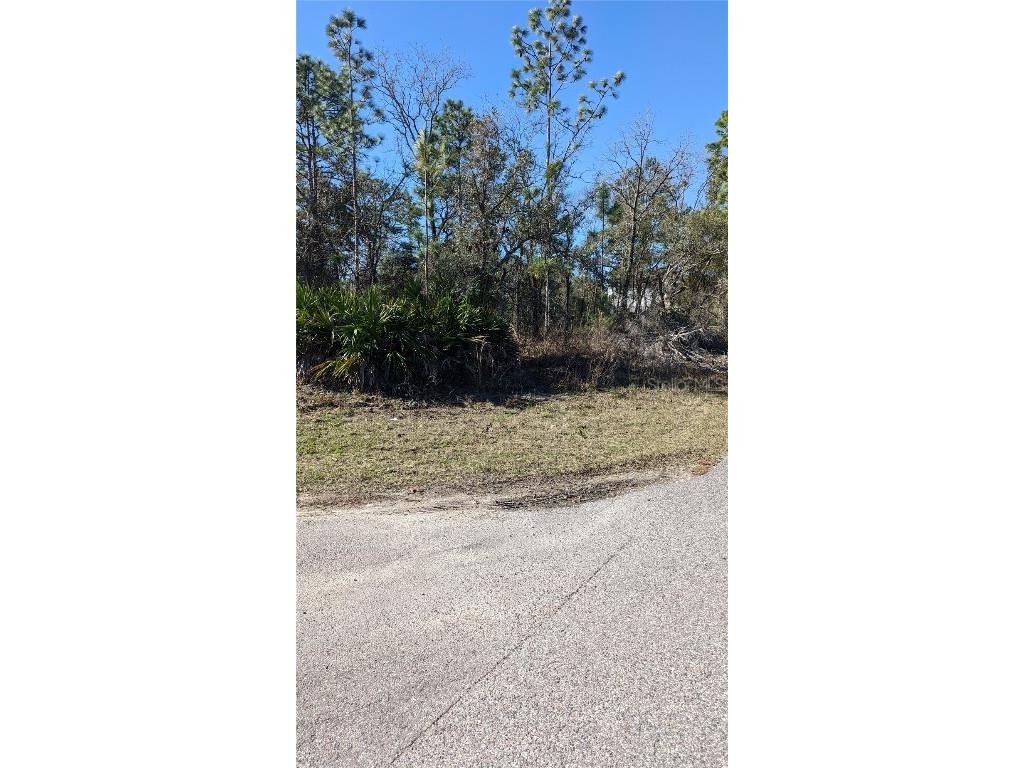 12136 Pioneer Avenue Weeki Wachee FL 34614 U8190424 image1