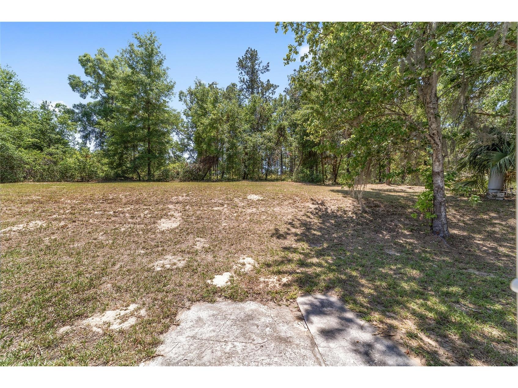 12136 SW 41st Place Ocala FL 34481 OM724622 image39