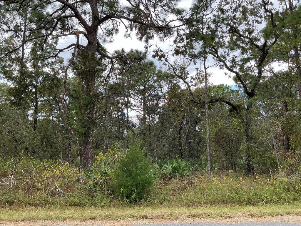 12137 Jaybird Road Weeki Wachee FL 34614 OM688752 image1